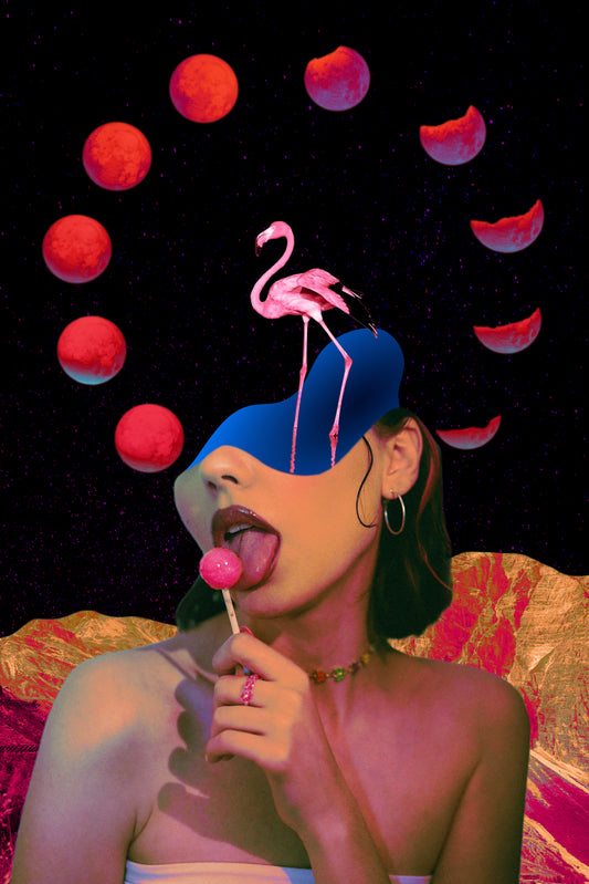 Flamingo Eclipse