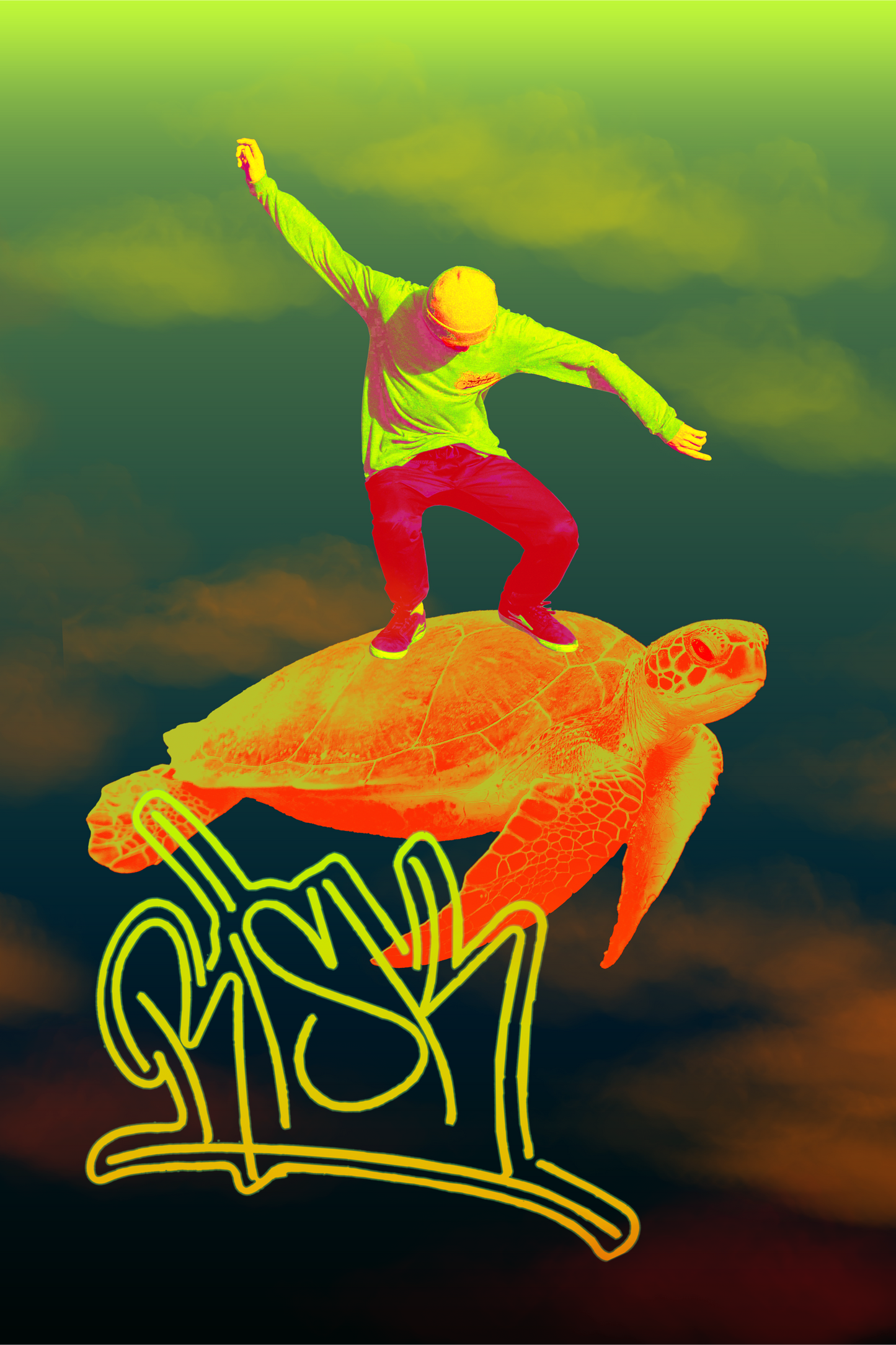 Risk Turtle 6x9 Glossy Print